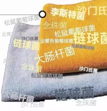 洗碗布上的细菌